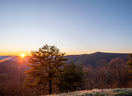 Skyline Drive